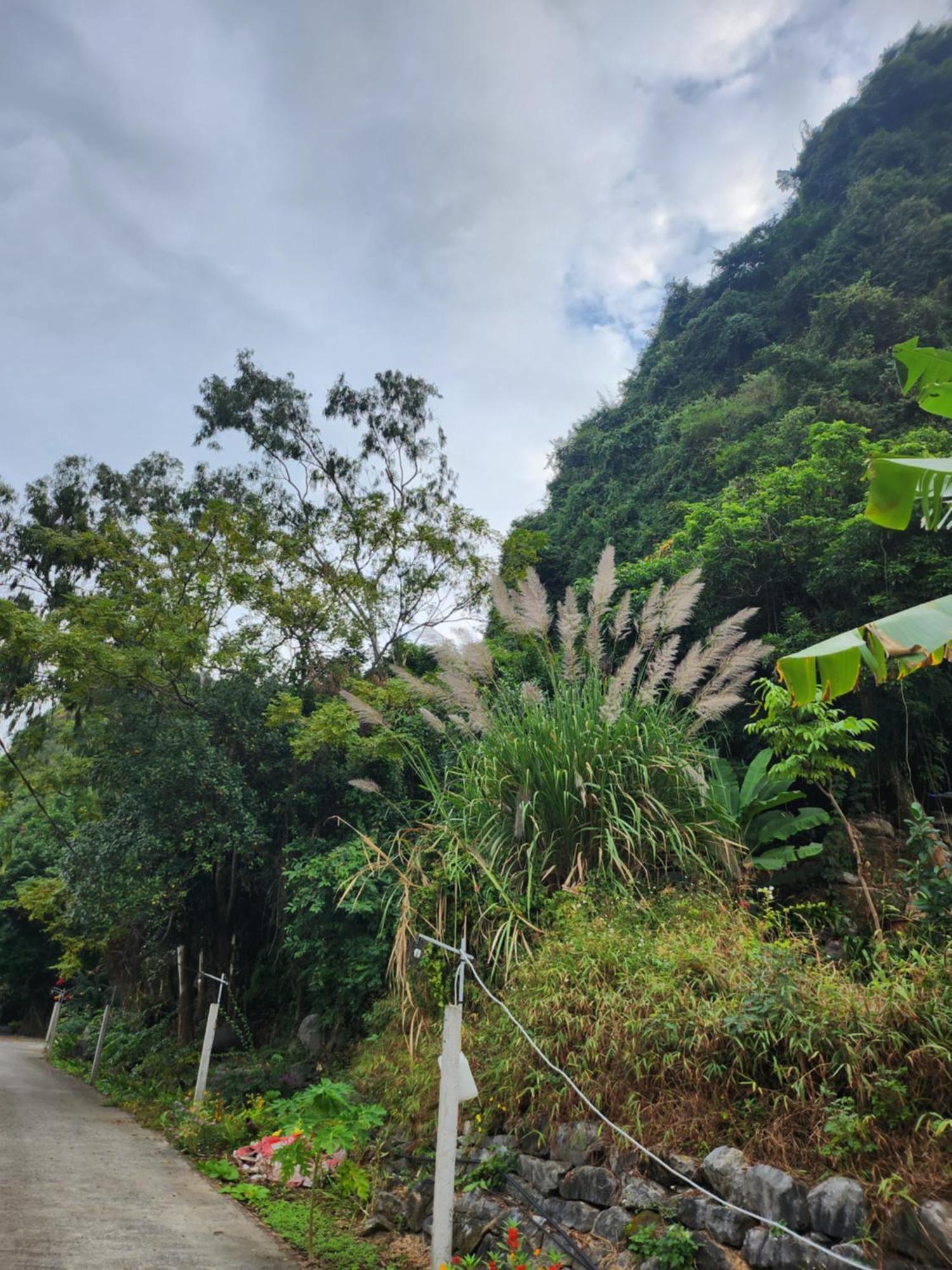 2Stones Cat Ba Homestay Chan Chau Bagian luar foto